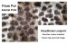 Magnetic Pet Cushion Faux Fur - Animal Print